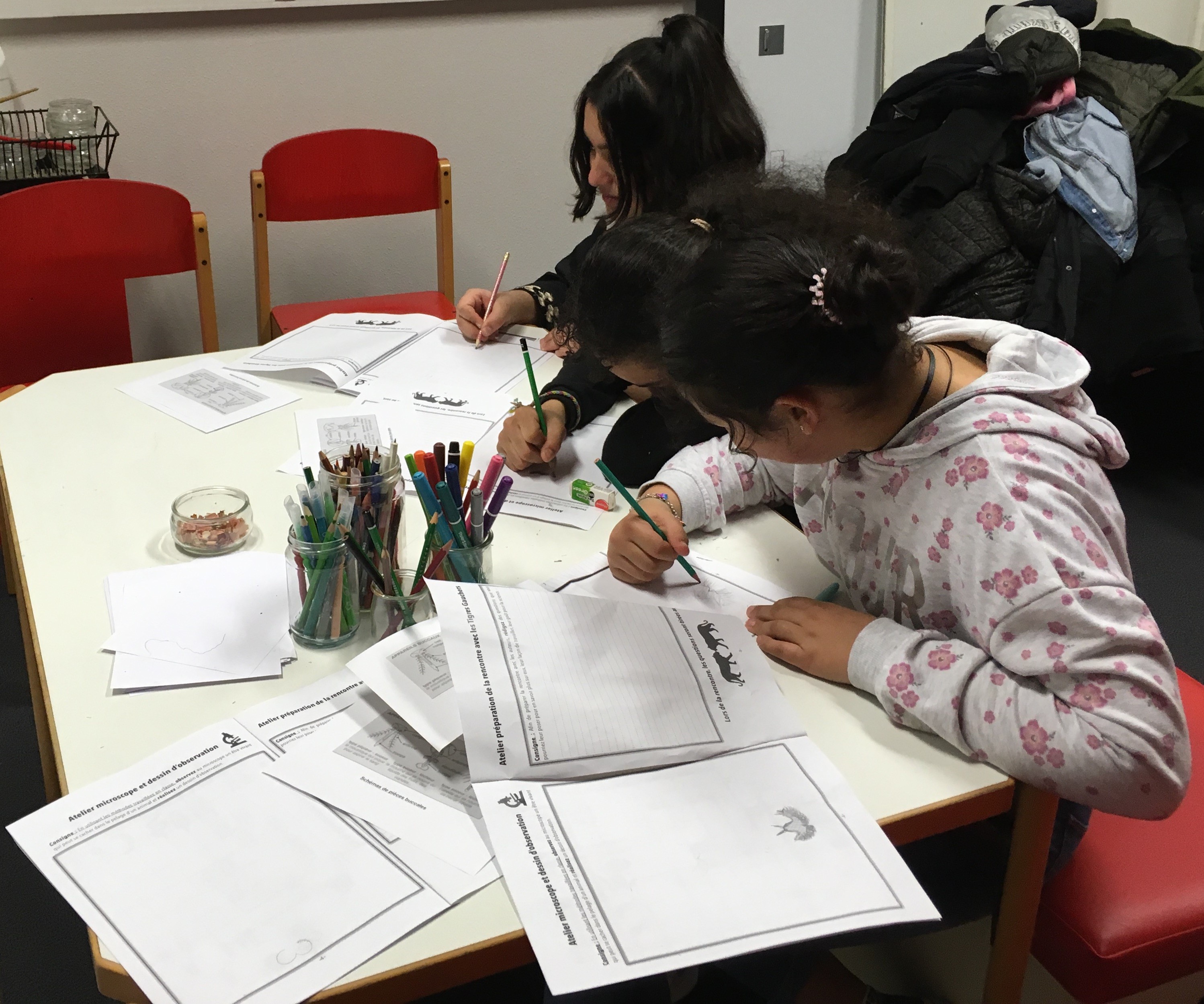 Petit déjeuner équilibré au collège pour les classes de 6e - Collège les  Gayeulles à Rennes